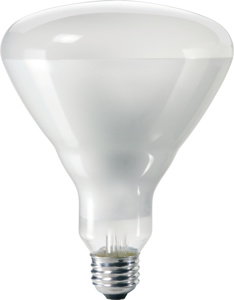Signify Lighting Long Life Series Incandescent Lamps BR40 65 W Medium (E26)