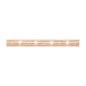 American Lighting 042 Series Rope Light System Incandescent 10 ft Clear