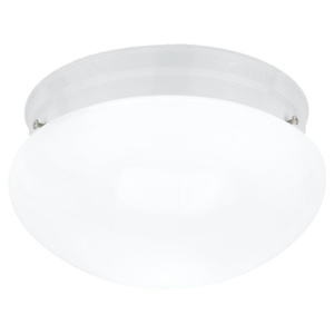 Seagull Lighting Webster Series Surface Round Light Fixtures Incandescent White White Glass