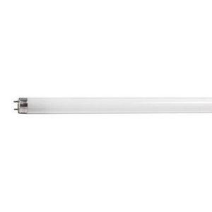 Signify Lighting Preheat Series T8 Lamps 24 in 4100 K T8 Fluorescent Straight Linear Fluorescent Lamp 18 W
