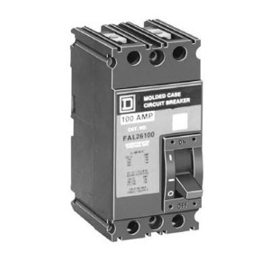 Square D I-Line™ FAL Series Cable-in/Cable-out Molded Case Industrial Circuit Breakers 15 A 480 VAC 18 kAIC 2 Pole 1 Phase