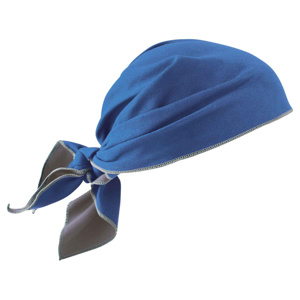 Ergodyne Chill-Its® 6710 Evaporative Cooling Triangle Hats One Size Fits Most Blue
