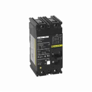 Square D I-Line™ FAL Series Cable-in/Cable-out Molded Case Industrial Circuit Breakers 60 A 480 VAC 18 kAIC 2 Pole 1 Phase