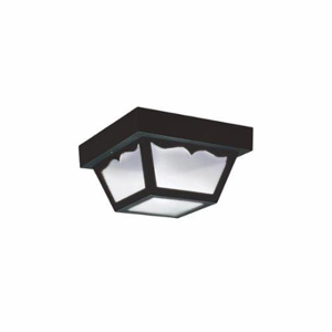 Seagull Lighting Ceiling Collection Series Ceiling Lanterns Frosted Glass 60 W Medium