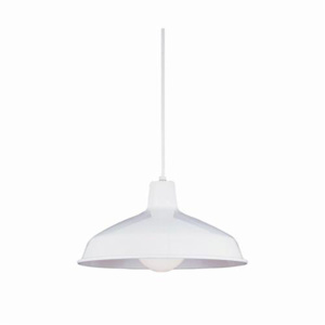 Seagull Lighting Painted Shade Pendants Series Light Fixtures Incandescent White None