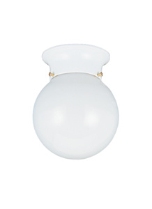 Seagull Lighting Tomkin Series Surface Round Light Fixtures Incandescent White White Glass