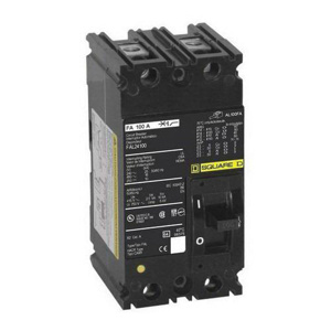 Square D I-Line™ FAL Series Cable-in/Cable-out Molded Case Industrial Circuit Breakers 60 A 240 VAC 10 kAIC 2 Pole 1 Phase