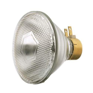 <em class="search-results-highlight">Satco</em> Products PAR38 Incandescent Lamps 120 V 120 W 1740 lm Side Prong