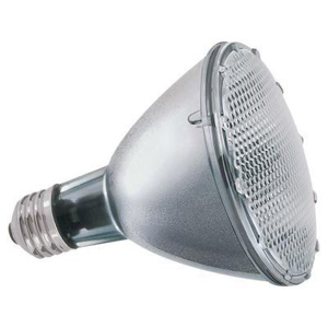 Current Lighting Compact Halogen PAR Lamps PAR30L 25 deg Medium (E26) Flood 38 W