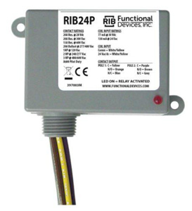 Functional Devices RIB Enclosed Power Relays 20 A DPDT 24 V