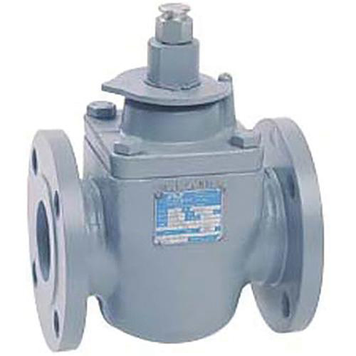 Nordstrom Valves Nordstrom Valves 20251/2 Steel Raised Face Ends