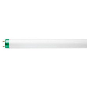 Signify Lighting T8 Series Lamps 48 in 4100 K T8 Fluorescent Straight Linear Fluorescent Lamp 32 W