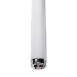 Sylvania T12 Series Preheat Lamps 24 in 5000 K T12 Fluorescent Straight Linear Fluorescent Lamp 20 W