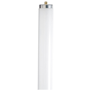 Satco Products Fluorescent T12 Lamps 50 W 60 in Single Pin (Fa8) 4200 K