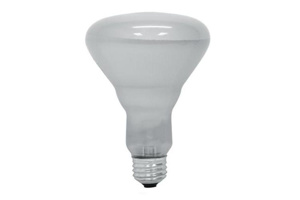 Current Lighting Long Life Incandescent Lamps BR30 65 W Medium (E26)