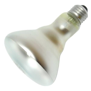 Current Lighting BR30 Incandescent Lamps BR30 65 W Medium (E26)