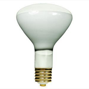 Current Lighting R40 Incandescent Lamps 130 V 500 W 6000 lm Mogul (E39)