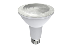 GE Lamps Visual Comfort Lens Series LED PAR30LN Reflector Lamps 12 W PAR30LN 3000 K