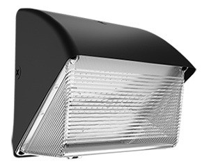 RAB Lighting WP1 Wallpacks LED 120 - 277 V 26 W 3973 lm 5000 K Bronze