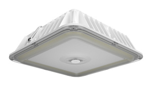 RAB Lighting VAN LED Vandalproof Canopy Lights