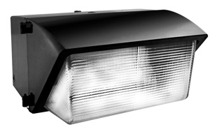 RAB Lighting WP Wallpacks Metal Halide 120 - 277 V 400 W Non-cutoff 40000 lm Bronze