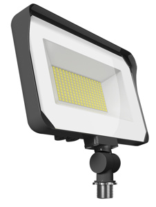 RAB Lighting X34® Series Flood Lights LED 120 V 45/55/65 W Bronze 6346-9718 lm 3000/4000/5000 K