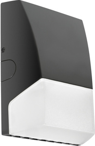 RAB Lighting RAB BRISK Wallpacks LED 120 - 277 V 40 W Non-cutoff 4827 lm 4000 K Bronze