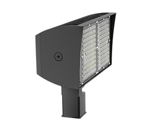 RAB Lighting PIP Series Floodlights
