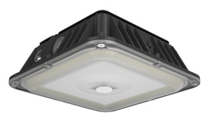 RAB Lighting VAN LED Vandalproof Canopy Lights