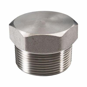Stainless Steel 316L Hex Head Plugs 1/2 in 3000 lb Import MPT