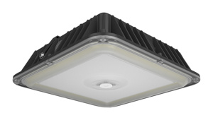 RAB Lighting VAN LED Vandalproof Canopy Lights