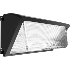 RAB Lighting WP3 Wallpacks LED 120 - 277 V 51 W 7543 lm 5000 K Bronze