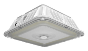RAB Lighting VAN LED Vandalproof Canopy Lights