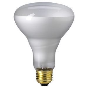 Eiko BR30 Incandescent Lamps 120 V 65 W 620 lm 2670 K Medium (E26)