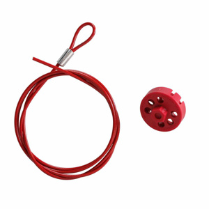 Brady Double Hex Spin Lockout and Cable