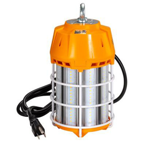 17150LEDP3 150W LT FIXT