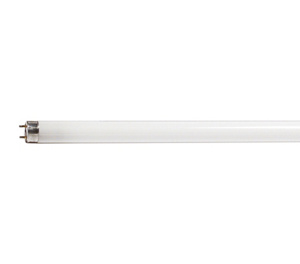 Philips Fluorescent T8 Lamps 18 W 24 in Bi-pin (G13) 4100 K