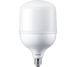 Philips E26 LED Lamps 25 W 5000 K 80 CRI 2800 lm