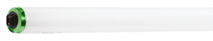 F96T12/CW/HO-O ALTO 8/2      205443 PLPS