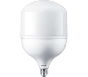 Philips E26 LED Lamps 45 W 5000 K 4800 lm