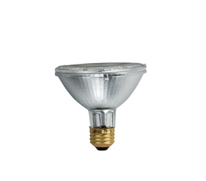 Philips PAR30 Halogen Lamps 120 V 53 W 40 deg 2860 K Medium (E26) Wide Flood