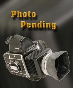 Hubbell Power Clevis-Clevis Fittings