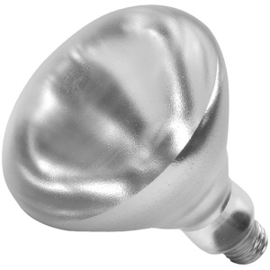 Shat-R-Shield R40 Series Shatter-resistant Incandescent Heat Lamps R40 250 W Medium (E26)