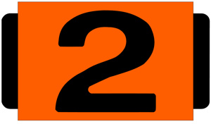 Tech Products Standard Size Identification Tags "2" Orange Polyproylene