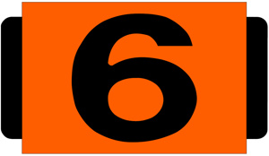 Tech Products Standard Size Identification Tags "6" Orange Polyproylene