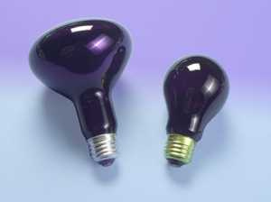 Sylvania A19 Incandescent Lamps 120 V 60 W 2850 K Medium