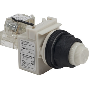 Square D Harmony™ 9001SK 30 mm Pilot Lights