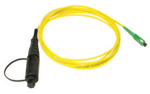 CS013775-0001 TDNT-SCA TEST JMP 1M