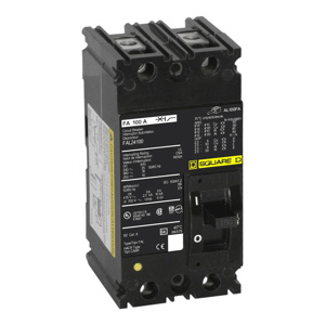 Square D I-Line™ FAL Cable-in / Cable-out Molded Case Industrial Circuit Breakers 100 A 480 VAC 18 kAIC 2 Pole 1 Phase