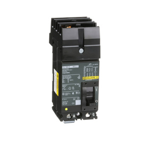 Square D I-Line™ FA Molded Case Industrial Circuit Breakers 100 A 480 VAC 18 kAIC 2 Pole 1 Phase